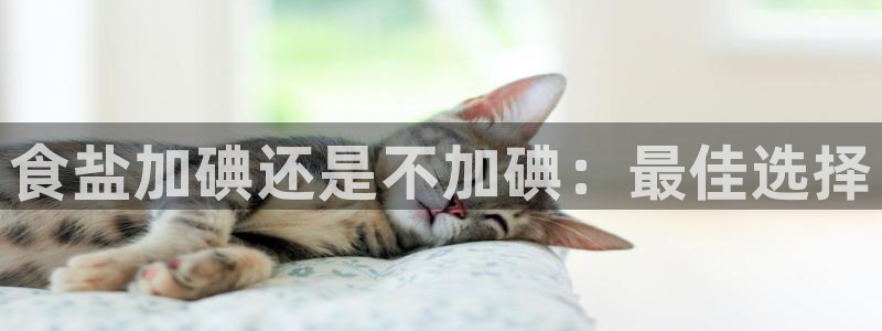 威九国际体育app下载