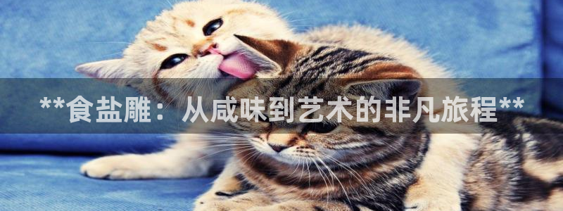 威九国际网站经常打不开网页