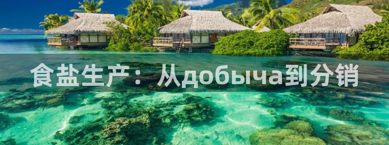 威九国际ppt官网