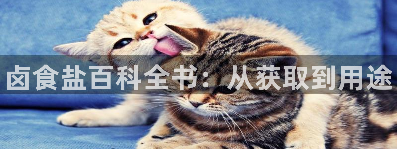 威九国际电子游戏