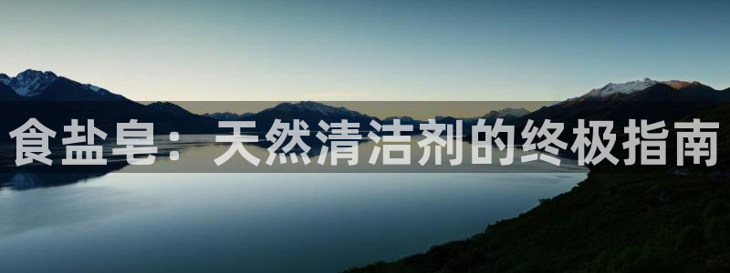 威九国际电子有限公司