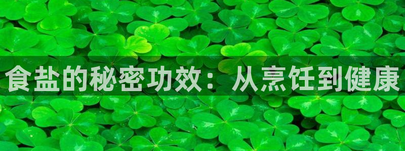 威九国际官网登录入口网址