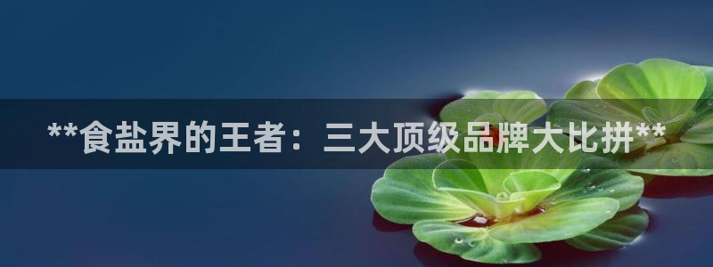 威九国际v96242cc官网版