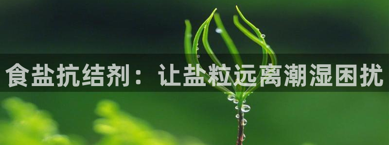 威九国际国精彩片段