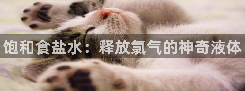 威九国际78mob游戏说明