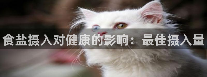 威九国际网页看视频弹窗的广告拦截插件