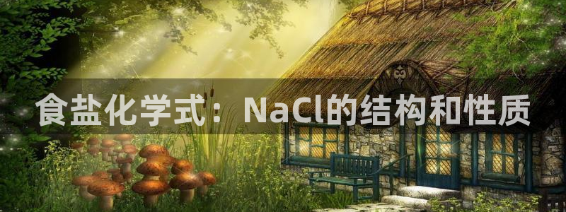 威九国际官网登录入口网站