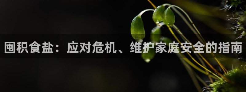 保定威九网络科技有限公司电话