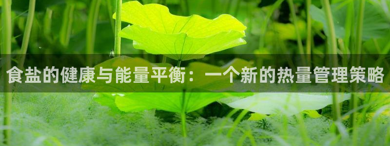 威九国际演员2023年最新作品