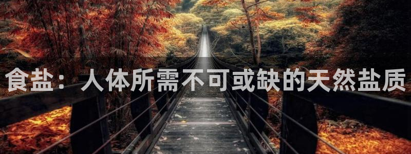 威九国际客服电话是多少