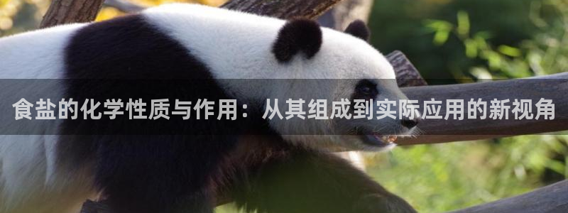 威九国际v96 bet会黑吗