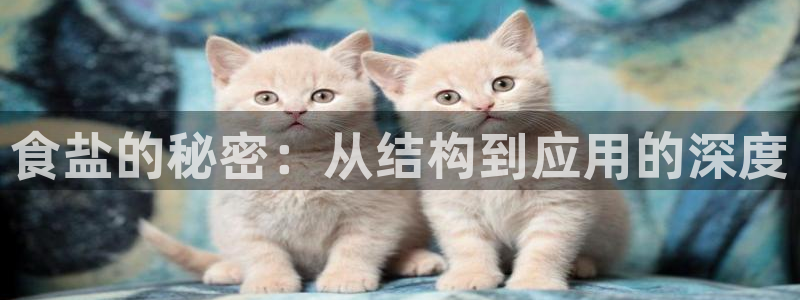 威九国际电子游戏：食盐的秘密：从结构到应用的深度