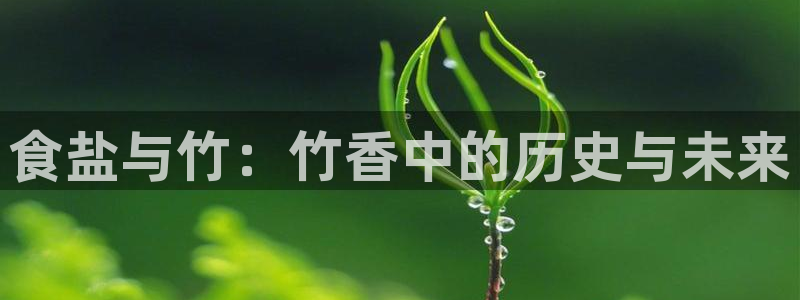 66m威九国际成长模式