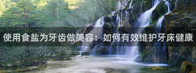威九国际精