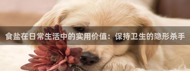 威九国际最受欢迎的功能