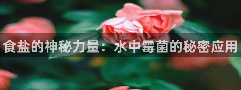 威九国际78mb42斗罗大陆：食盐的神秘力量：水中霉菌的秘密