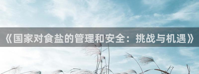 威九国际小广告：《国家对食盐的管理和安全：挑战与机遇》