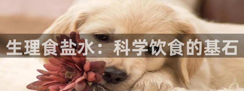 威九国际可以退钱吗怎么退