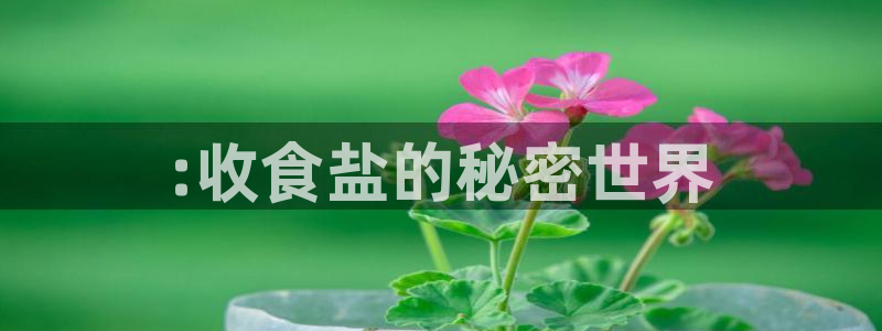 威九国际可以提现吗现在