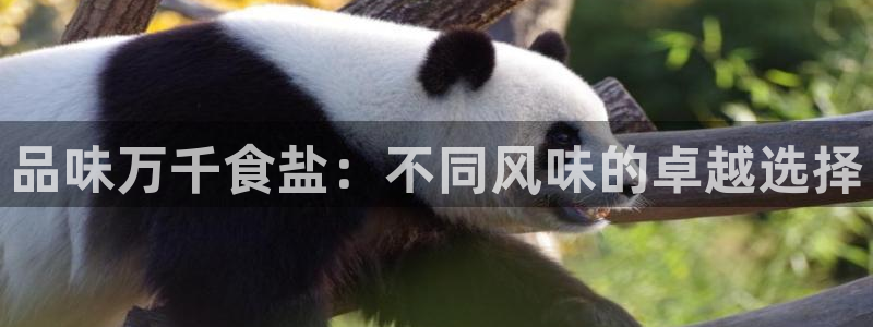 威九国际78mb下载