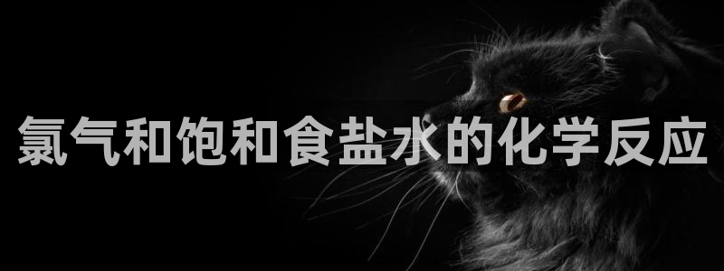 威九国际78mb游戏