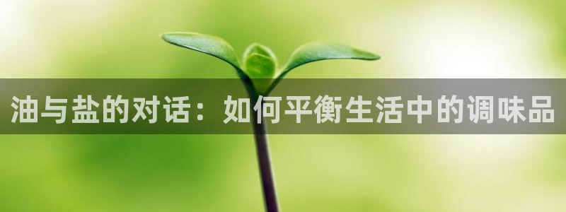 威九国际清砖码头在哪