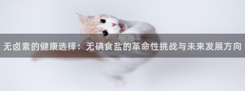 威九国际APP那个地方