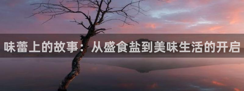 威九国际网站入口地址