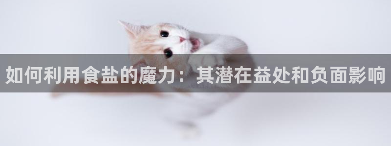 威九国际网站下载