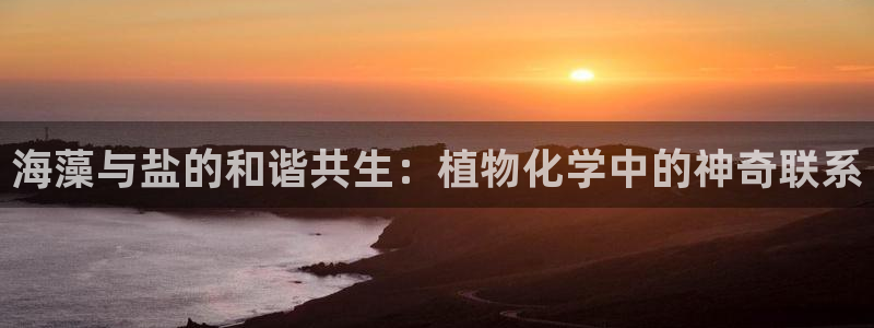 威九国际免费v5.5.2新版本特性