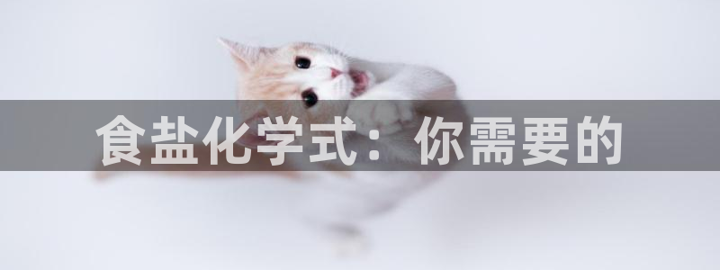 威九国际网站入口官网免费下载