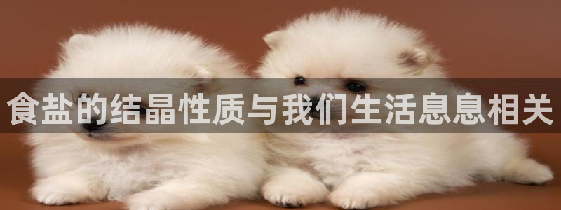 威九国际66m66模式视频