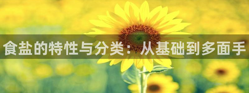 威九国际网站入口官网免费下载