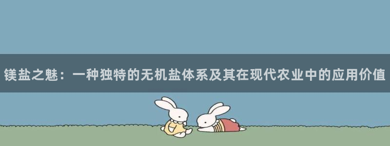 威九国际78mb官网：镁盐之魅：一种独特的无机盐体系及其在现