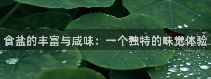 威九国际网站人入口