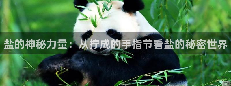 威九国际78mb游戏