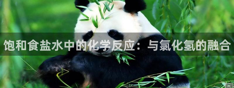 威九国际正规吗