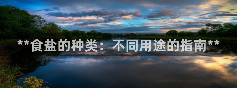 威九国际ppt免费