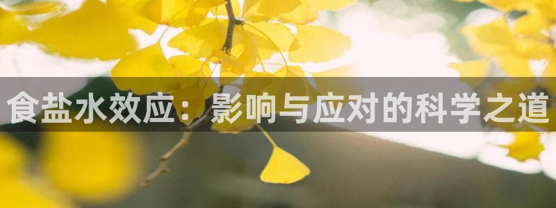 威九国际人民网招聘