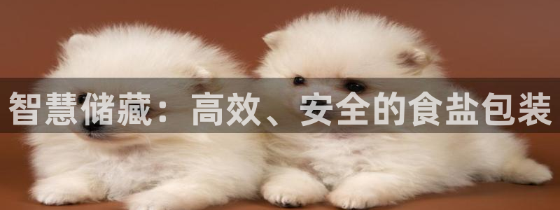 威九国际安全吗