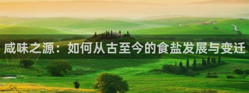 威九国际官网登录入口：咸味之源：如何从古至今的食盐发展与变迁