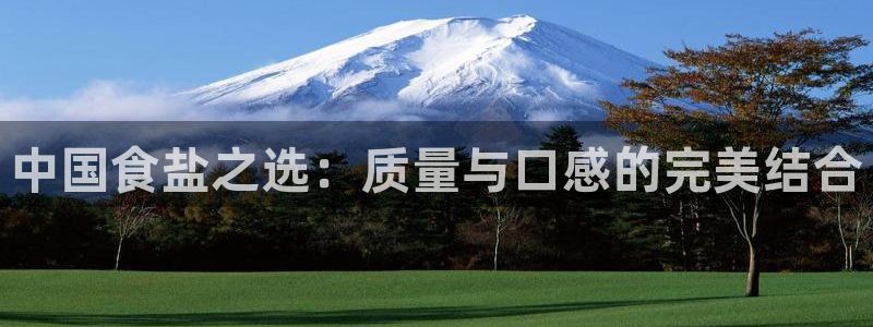 威九国际ppt官网