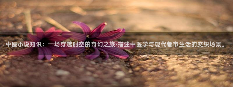 顶点小说全文免费阅读