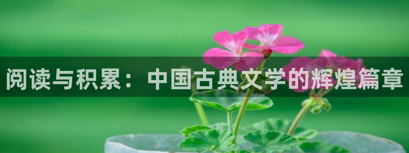 顶点小说网怎么下载