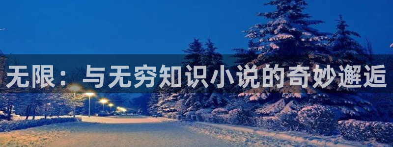 谍影风云顶点小说